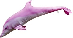 Vankúš Gaby Delfín Albín Ružový 125cm