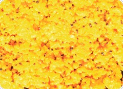 Varený Partikelový Mix LK Baits IQ Method Feeder Turbo Mix 1,5kg Varený Partikelový Mix LK Baits IQ Method Feeder Turbo Mix 1,5kg