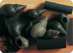 Vodní Šnek Enterprise Dutý (Včetně Plovoucí Pěny) 9ks