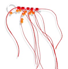 Zastave Saenger Knoten s Perlicama