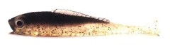 10kom - Gumeni Mamac Konger Lucky Shad 6cm 07