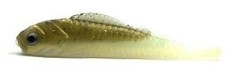 10kom - Gumeni Mamac Konger Lucky Shad 6cm 13