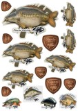 10kom - Mix naljepnica Giants Fishing Šaran Ljuskavi