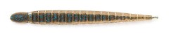 10ks - Gumová Nástraha Keitech Custom Leech 3" 7,6cm 1,3gr Blue Flash Cinnamon 10ks - Gumová Nástraha Keitech Custom Leech 3" 7,6cm 1,3gr Blue Flash Cinnamon