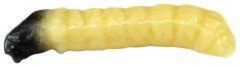 10ks - Gumová Nástraha Revol Baits Caddis Larva 30mm Krevetka Natural