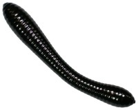 12kom - Gumeni mamci Revol Baits Leech 50mm Sýr-Česnek Crna