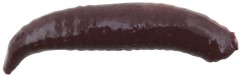 14kom - Gumeni Mamac Berkley Gulp! Floating Pinched Crawler Nightcrawler 3cm