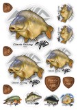 14kom - Naljepnica Giants Fishing Šaran Golać