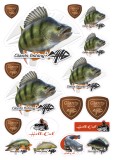 17ks - Nálepka Giants Fishing Okoun 17ks - Nálepka Giants Fishing Okoun