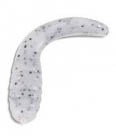 25kom - Gumeni Mamac Iron Trout T-Turn 2,5cm WBS