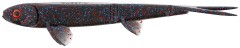 2kom Gumeni Mamac Westin Twinteez Pelagic V-Tail 14cm 15g Black Mamba