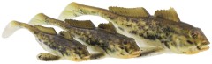 2ks Gumová nástraha Westin Gunnar The Goby 10cm 12,8gr Slimy Green