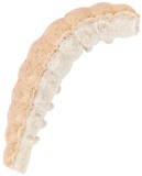 55ks - Červy Berkley PowerBait Power Honey Worm 2,5cm Oranžová perleť 55ks - Červy Berkley PowerBait Power Honey Worm 2,5cm Oranžová perleť