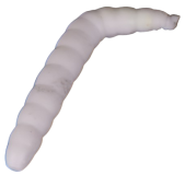 6kom - Crv Iron Trout Baco 4cm Bijela