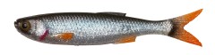 6ks - Gumová Nástraha Savage Gear Craft Dying Minnow 10cm 5,5g Roach