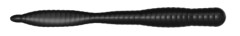 7ks - Gumová Nástraha FreshLures FlatWorm 3,1" 8cm 1,16gr #112