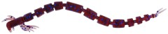 8ks - Gumová nástraha Westin BloodTeez Worm 5,5cm 0,5g Indigo UV Red