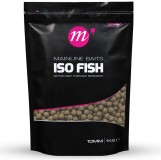 Boilie Mainline Shelf Life ISO Fish 20mm 1kg