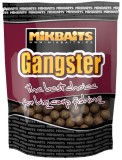 Boilie Mikbaits Gangster - G20 Enigma Boilie Mikbaits Gangster - G20 Enigma