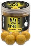 Boilie v Dipe Haldorádó Boilies Dipped Max Motion 20mm Champion corn 80g