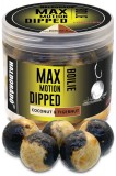 Boilie v Dipu Haldorádó Boilies Dipped Max Motion 20mm Kokos-Tygří ořech 80g