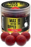 Boilie v Dipu Haldorádó Boilies Dipped Max Motion 20mm Velká ryba 80g