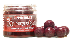 Boilie v Dipu Sportcarp Dipped Boilies 200ml 20mm Mulberry Garlic