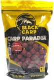 Boilies Black Carp Activ Játra - Chilli 20mm 5kg