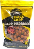 Boilies Black Carp Activ Sladká Jahoda 20mm 5kg