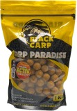 Boilies Black Carp Activ Sladká Kukuřice 20mm 1kg