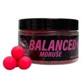 Boilies Black Carp Balanced 12mm 60gr Moruše
