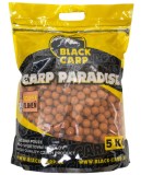 Boilies Black Carp Economic 20mm 5kg Scopex - Skuša