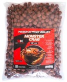Boilies DK Fishing Power Attract 20mm 5kg Monstrušni Rak