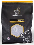 Boilies Nash Scopex Squid 2024 24mm 1kg