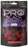 Boilies Starbaits Probiotic Blackberry 20mm 200gr
