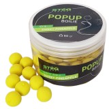 Boilies Stég Pop-Up 50gr Pineapple 13mm