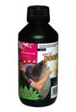 Booster LK Baits Svjetski Rekord Šarana Kukuruz 250ml