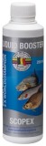 Booster MVDE Liquid 250ml Scopex
