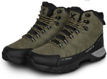 Botine Delphin Ixtera Teknis