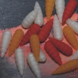 Črv Enterprise Agušaste Braid Različite Boje 20 kom