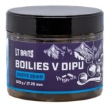 Dipované Boilies LT Baits Exotic Squid 20mm 300gr Dipované Boilies LT Baits Exotic Squid 20mm 300gr