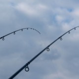 Feeder vrh Guru A-Class Distance Quiver