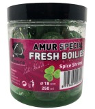 Fresh Boilies LK Baits Amur Special Spice Shrimp 18mm 250ml