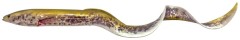 Gumeni mamac Savage Gear Real Eel 30cm 56gr Green Lamprey