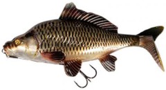 Gumová Nástraha Rage New Super Natural Replicant Carp 18cm 104gr Common Carp Gumová Nástraha Rage New Super Natural Replicant Carp 18cm 104gr Common Carp
