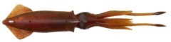 Gumová Nástraha Savage Gear 3D Swim Squid 25cm 110gr Red Brown