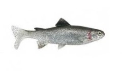 Gumová Nástraha Uni Cat Trout 15cm BG