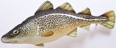 Jastuk Gaby Bakalar Opća 75cm