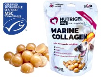 Kĺbová Výživa LK Baits Pet Nutrigel Dog Marine Collagen S-M, 100g