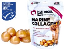 Kloubna Ishrana LK Baits Pet Nutrigel Pas Morski Kolagen L-XL 180g